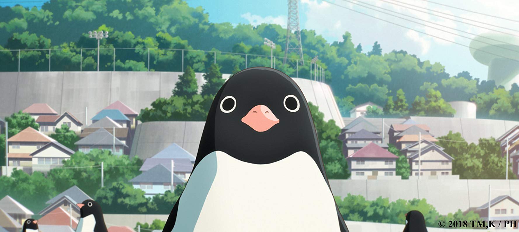 Penguin Highway Poster